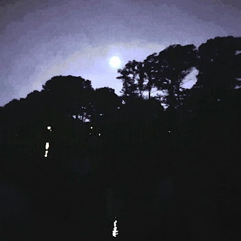 Shane Dorey Stillpiercer Скачать mp3