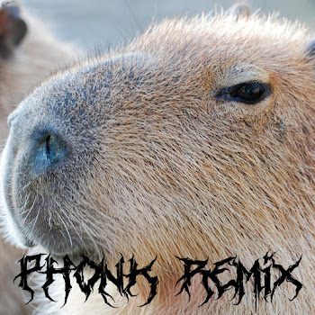 Сто-Личный Она-Нас Capybara (Phonk Remix) Ft Dxxdly Скачать mp3