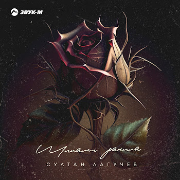 Султан Лагучев Шипами Ранила Скачать mp3
