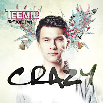 Teemid Crazy (Radio Mix) (Feat. Joie Tan) Скачать mp3