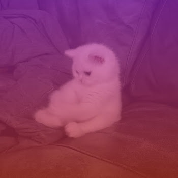 Trxndsetter Montagem Fim Estrelar (Slowed) Скачать mp3