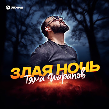 Тяма Шарапов Злая Ночь Скачать mp3