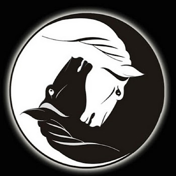 Tyurgen Kam Arrows Of Shaman Скачать mp3