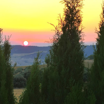 Udo Burkhardt Wenn Ich Durch Die Wälder Geh Скачать mp3