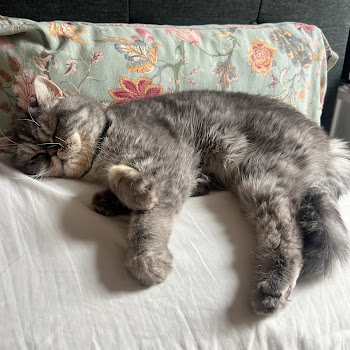 Very Cool Tutorials Trap Royalty Скачать mp3