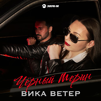 Вика Ветер Чёрный Мерин Скачать mp3