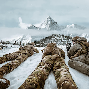 Владимира Пшеничного Белая Гвардия Скачать mp3