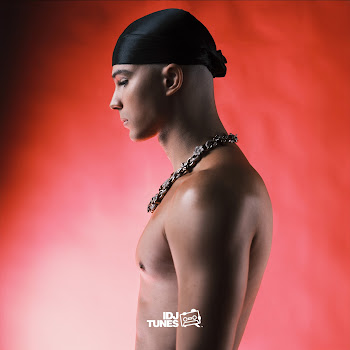 Voyage Muskarcina Ft Ceca Скачать mp3