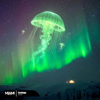 Xezzo Feelings Скачать mp3