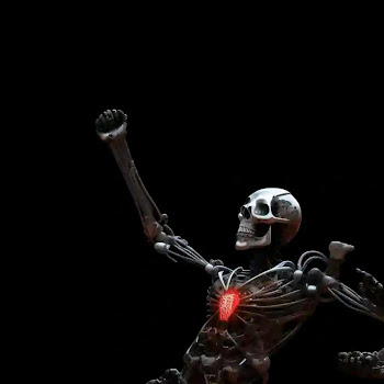 Ymusicrecords Fein Скачать mp3