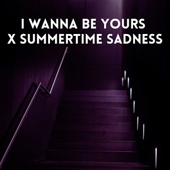 Zayan I Wanna Be Yours X Summertime Sadness Скачать mp3