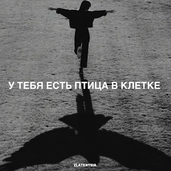 Zlatentsia У Тебя Есть Птица В Клетке Скачать mp3
